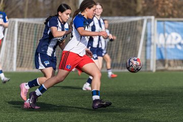Bild 278 - wBJ Hamburger SV - Hertha BSC : Ergebnis: 2:1